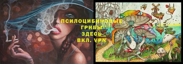 ешки Белоозёрский