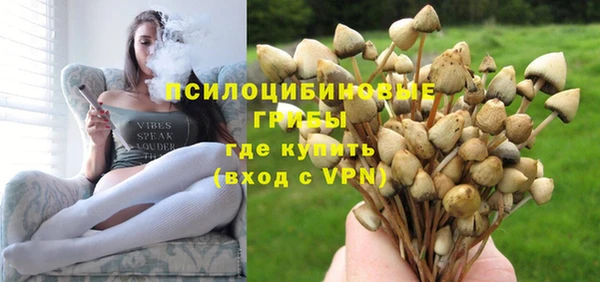 ешки Белоозёрский