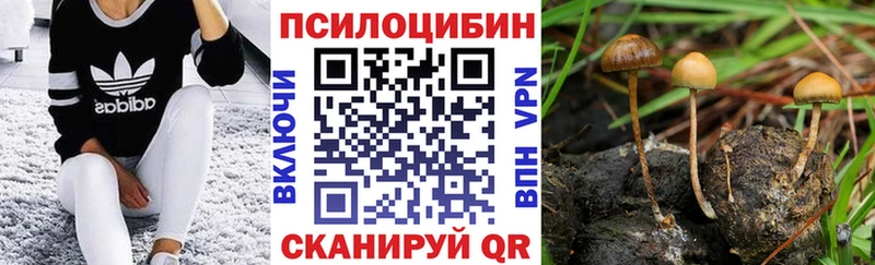 как найти закладки Нижняя Тура Галлюциногенные грибы ЛСД